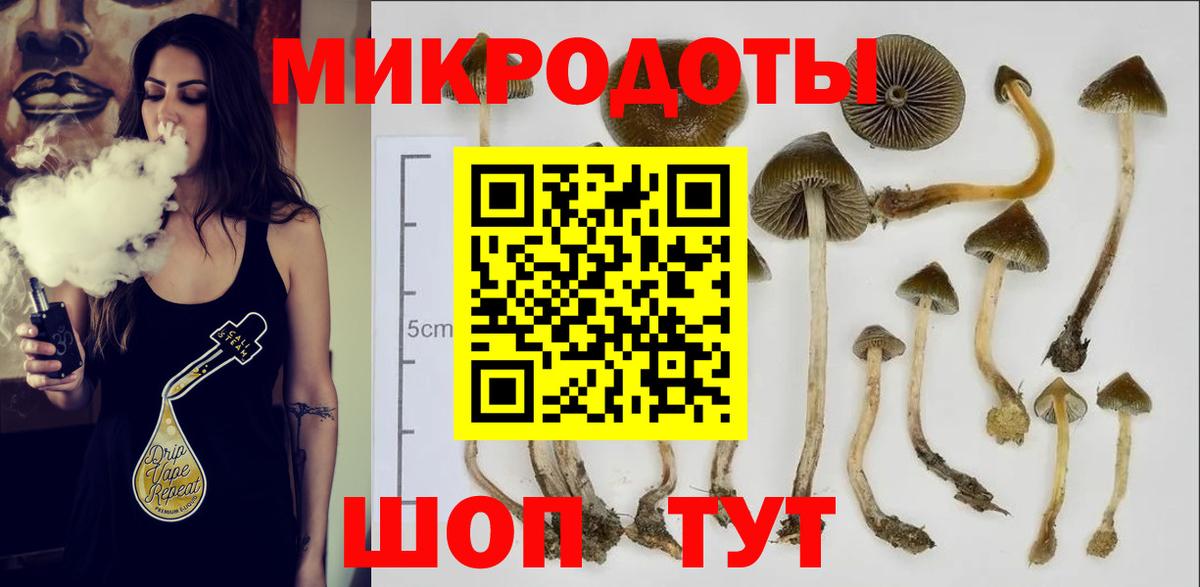 Галлюциногенные грибы прущие грибы Гусиноозёрск
