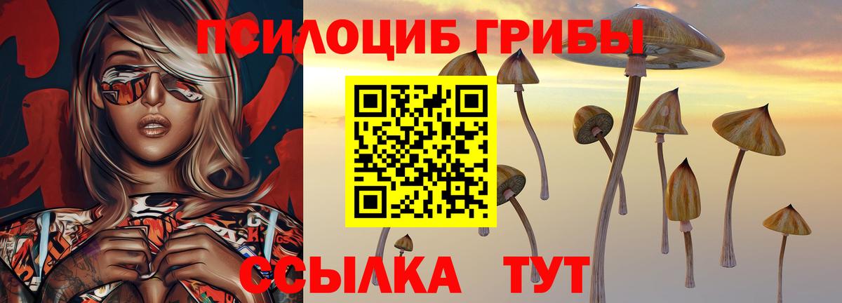 Гусиноозёрск  Галлюциногенные грибы ЛСД  Вход с VPN  Галлюциногенные грибы мухоморы 